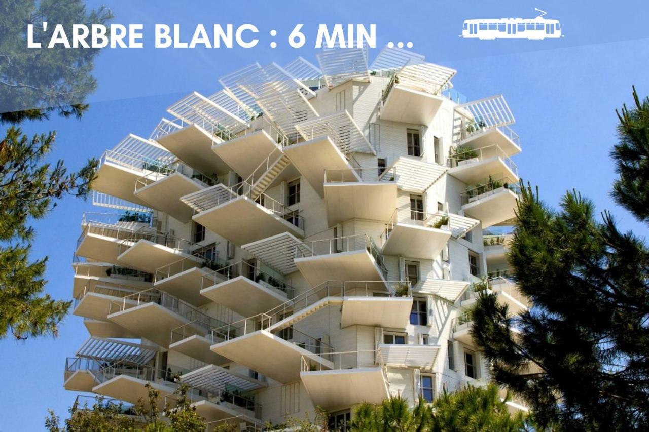 Nouveau - Jungle Montpeul - Clim - Wifi Fibre - Netflix - 5' Du Centre Et Gare - Parking - Loggia - 15' Des Plages Montpellier Esterno foto